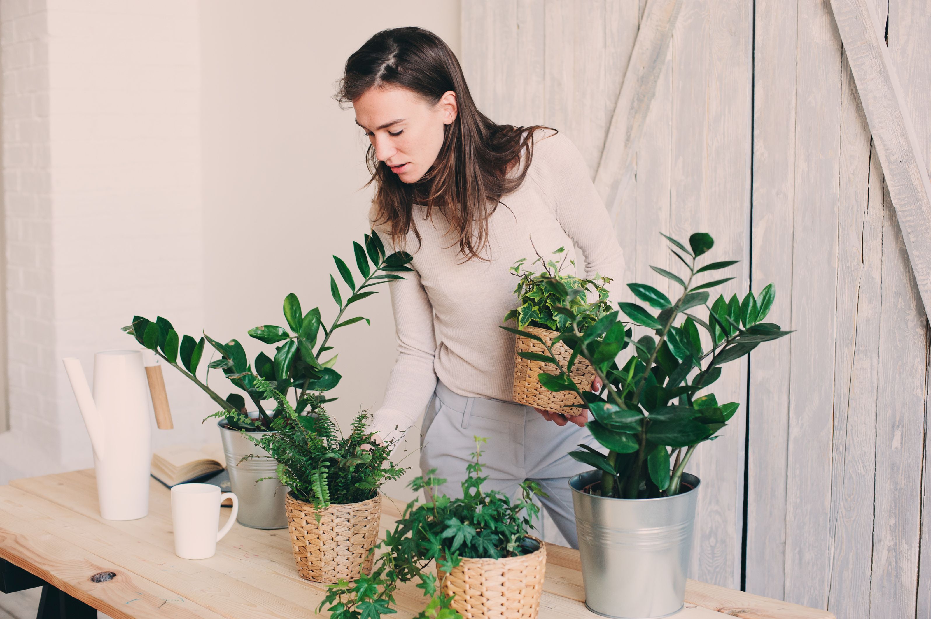Llena tu vida de verde: decorar con plantas