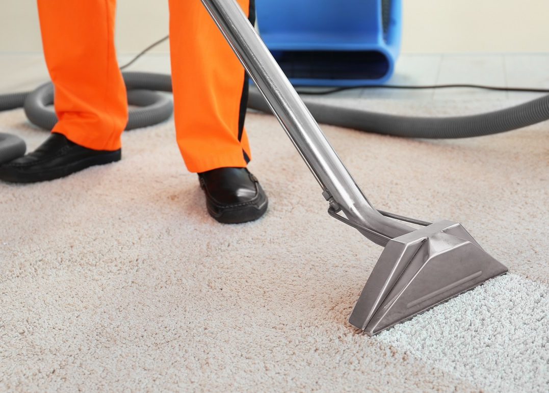 Cómo limpiar las alfombras