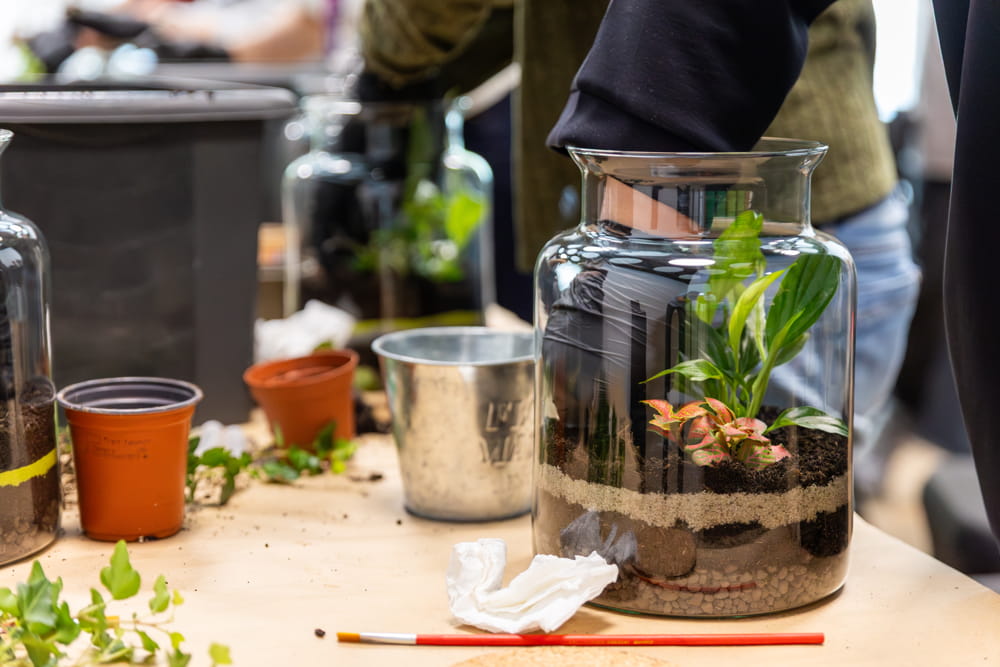 taller terrario